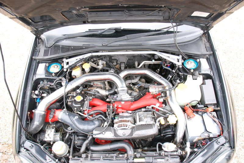 Name:  DSC_0482.jpg
Views: 0
Size:  143.3 KB