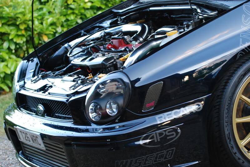 Name:  RAYSnuts7.jpg
Views: 0
Size:  129.8 KB