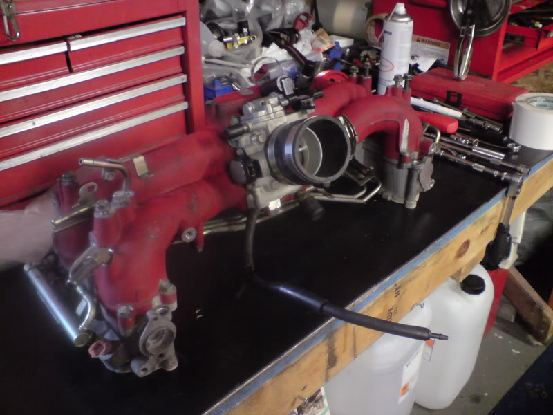 Name:  DSC00630.jpg
Views: 0
Size:  95.8 KB