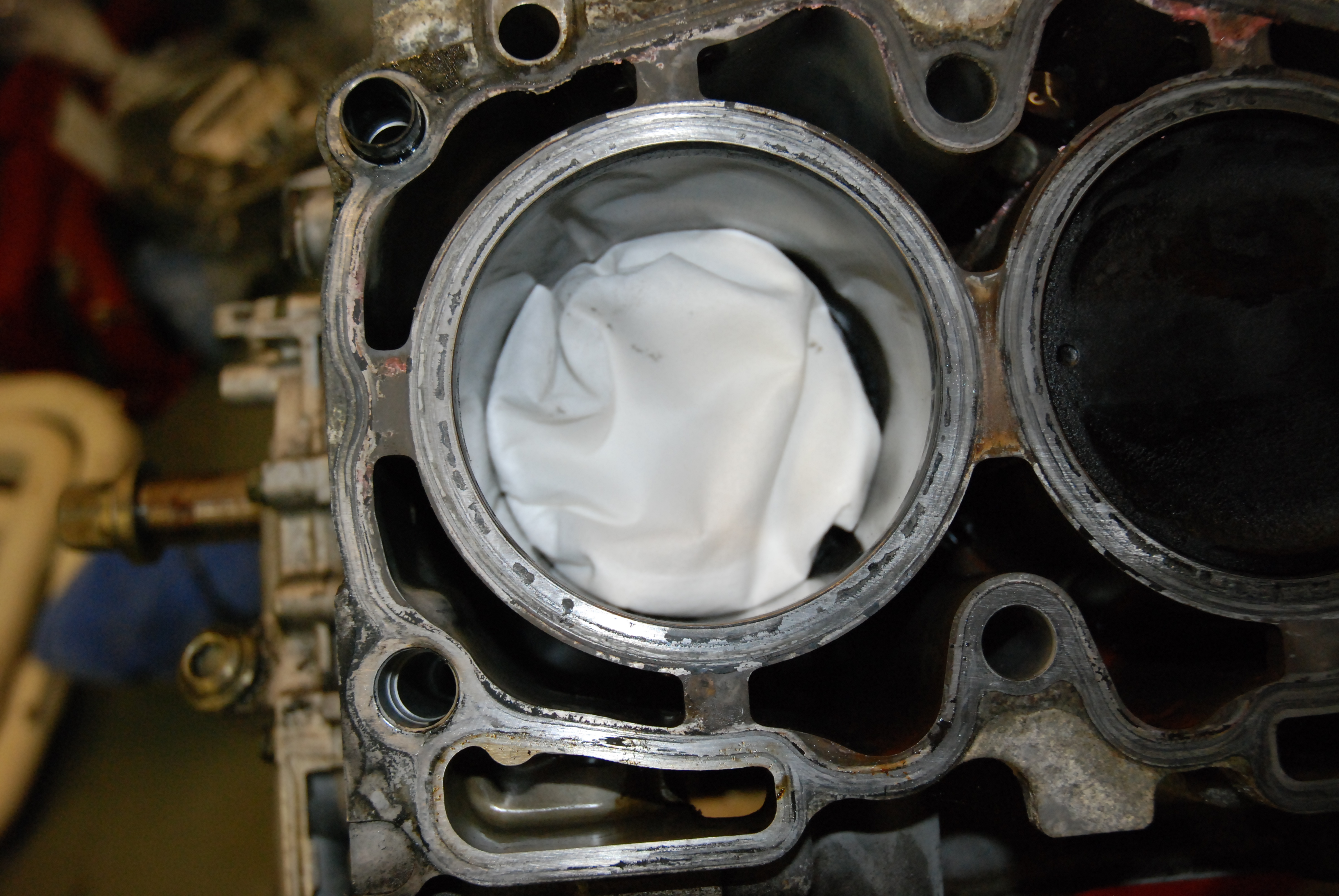 Name:  DSC_0005.jpg
Views: 0
Size:  3.52 MB