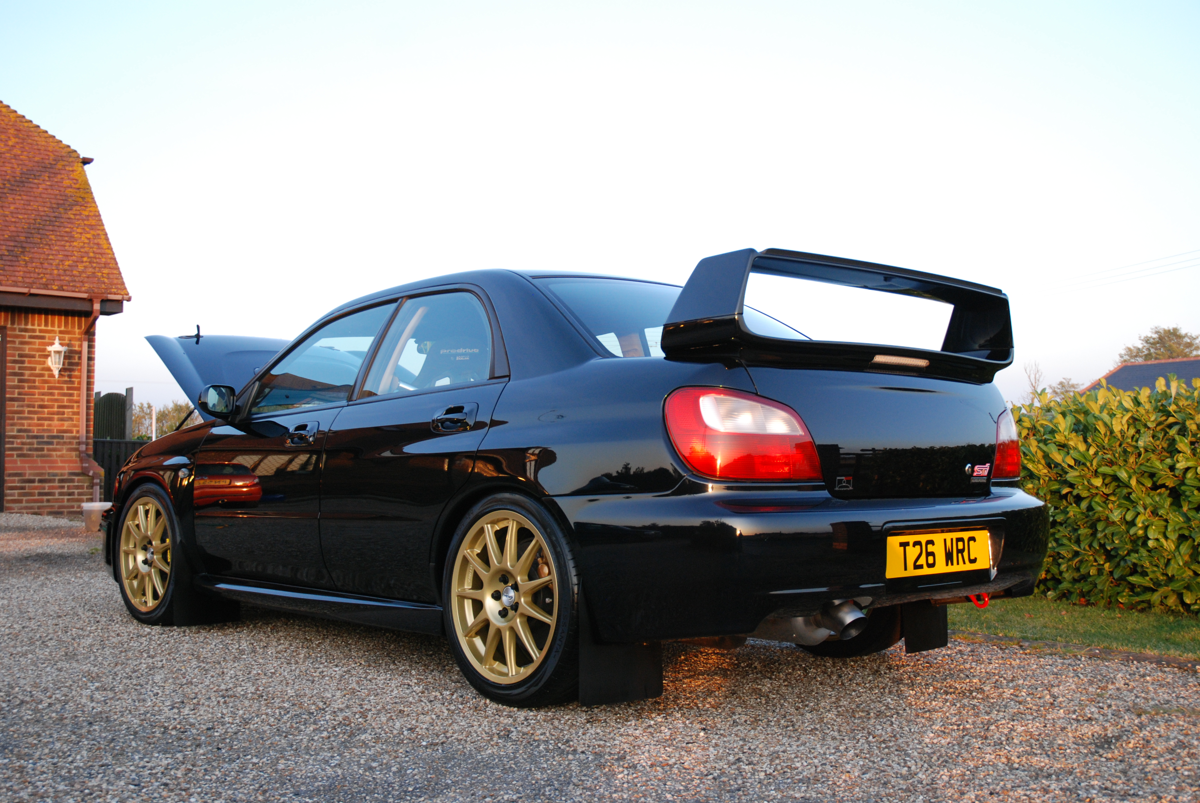 Name:  nightout12.jpg
Views: 0
Size:  3.93 MB