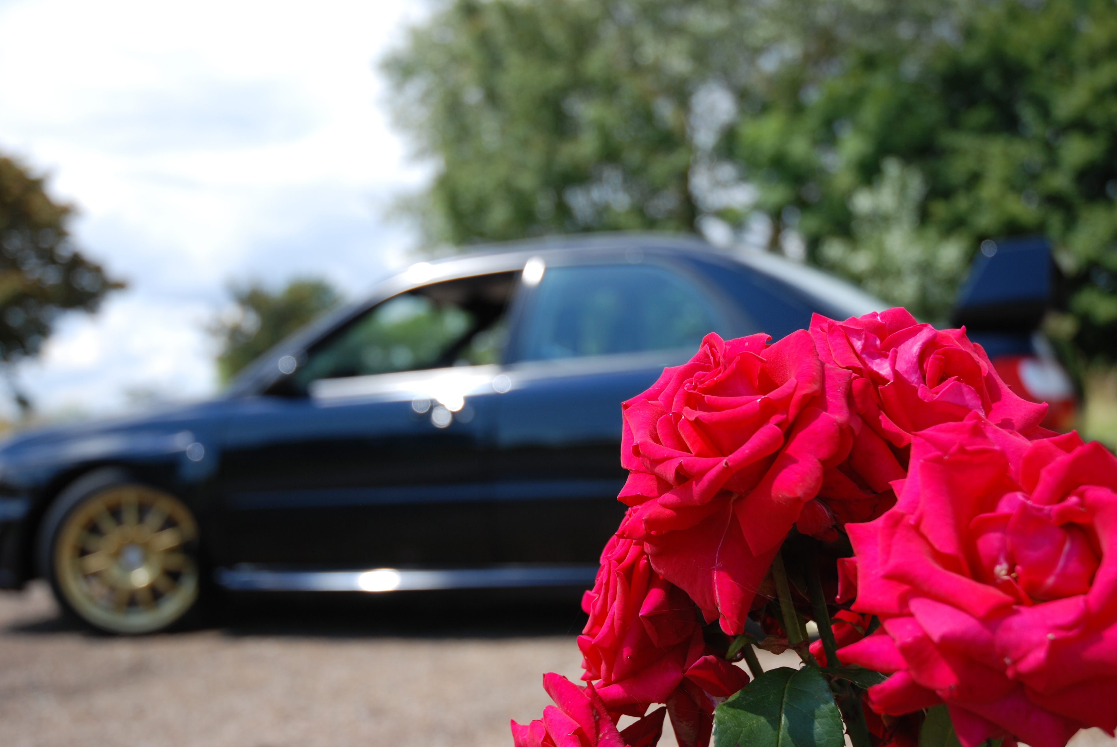 Name:  Bradwell201251.jpg
Views: 0
Size:  2.70 MB