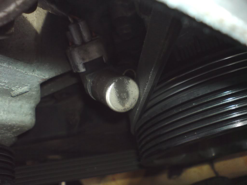 Name:  Dsc00371.jpg
Views: 0
Size:  49.5 KB