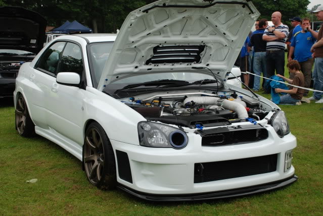 Name:  DSC_03001.jpg
Views: 0
Size:  96.9 KB