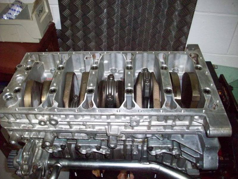 Name:  100_2499-1.jpg
Views: 0
Size:  125.6 KB