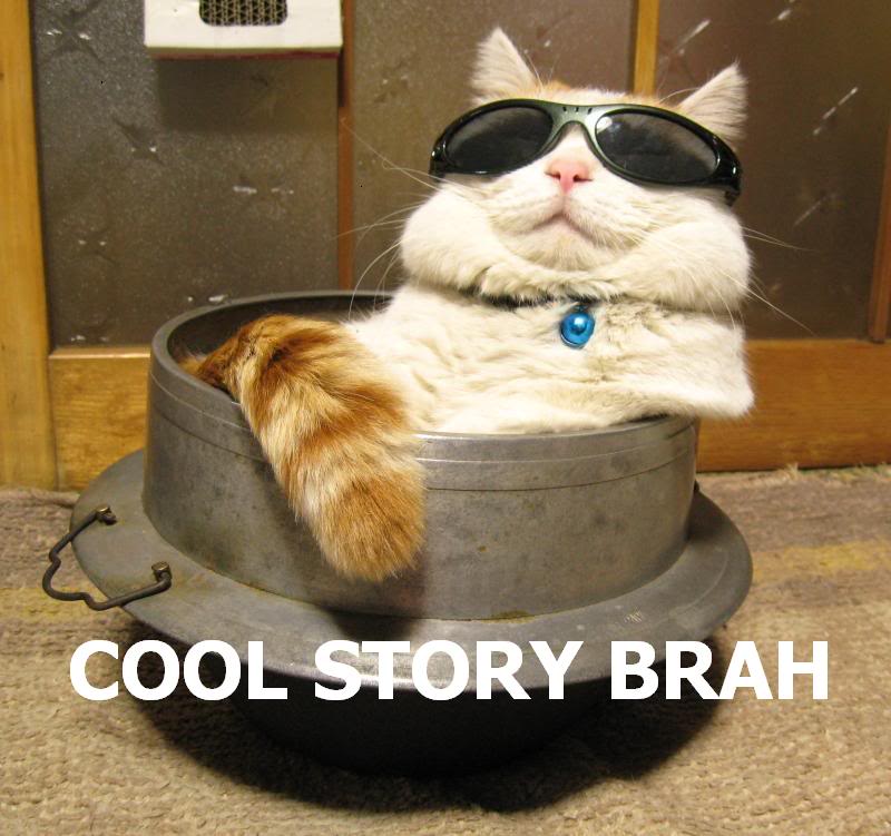 Name:  cool_story_brah_cat.jpg
Views: 0
Size:  80.0 KB