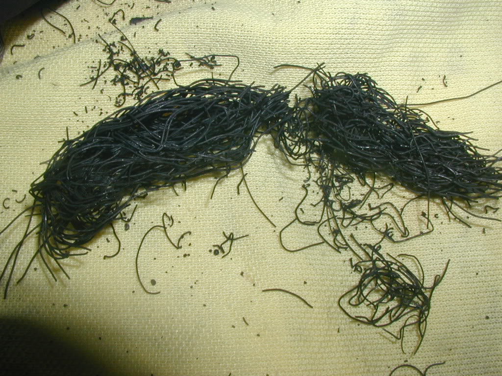 Name:  P1010005-84.jpg
Views: 0
Size:  211.2 KB