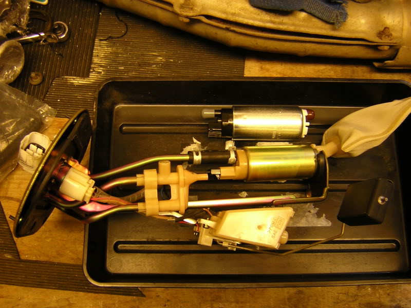 Name:  DSCN1545.jpg
Views: 0
Size:  95.5 KB