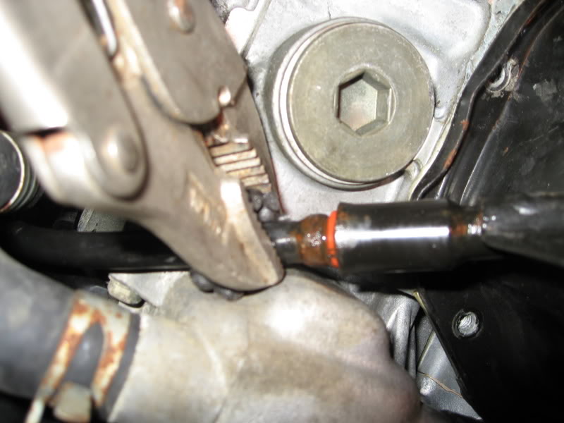 Name:  IMG_0589.jpg
Views: 0
Size:  60.8 KB