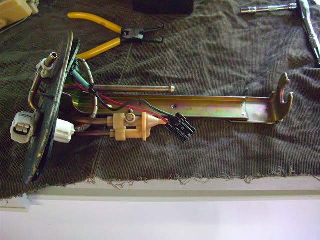 Name:  CIMG0811Small.jpg
Views: 0
Size:  64.0 KB