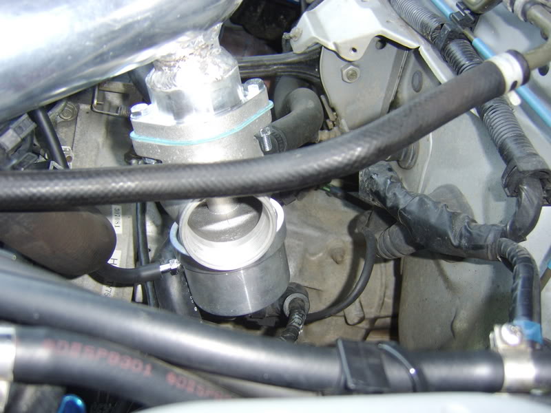 Name:  reddybov003.jpg
Views: 0
Size:  74.5 KB