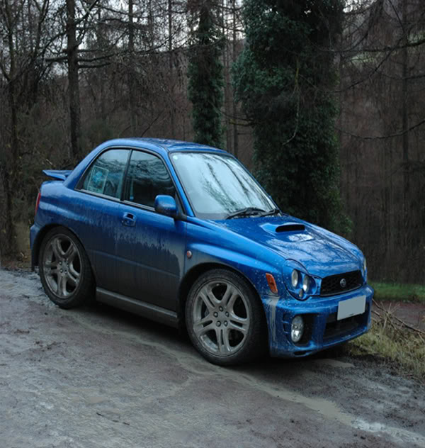 Name:  Steve_PPP.jpg
Views: 0
Size:  82.7 KB