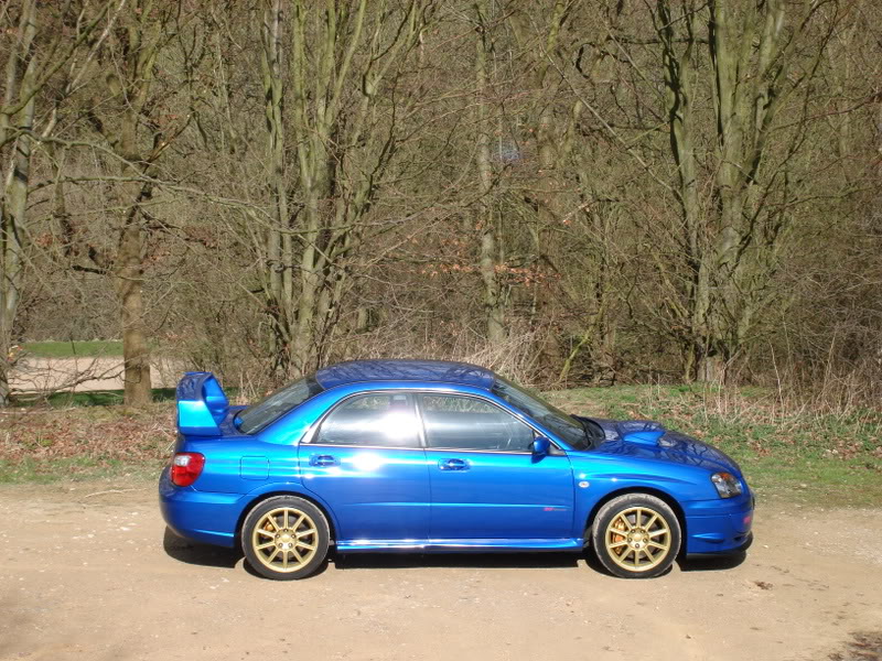 Name:  Scoobysideon.jpg
Views: 0
Size:  159.4 KB