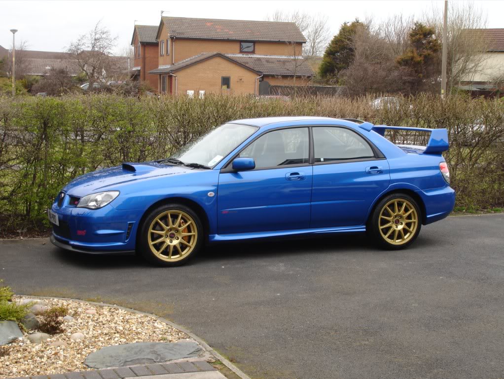 Name:  scoobs2.jpg
Views: 0
Size:  159.5 KB