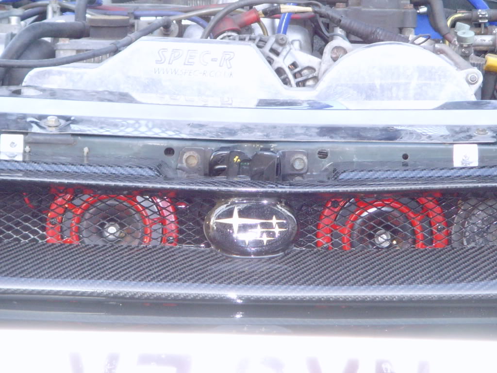 Name:  SNV31274.jpg
Views: 0
Size:  131.2 KB