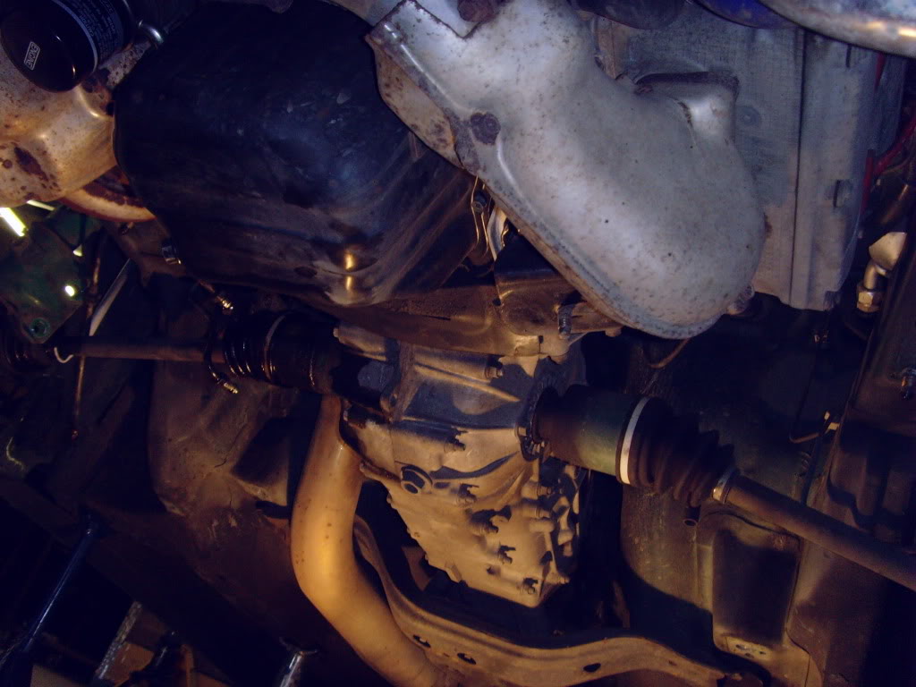 Name:  SNV31729.jpg
Views: 0
Size:  101.8 KB