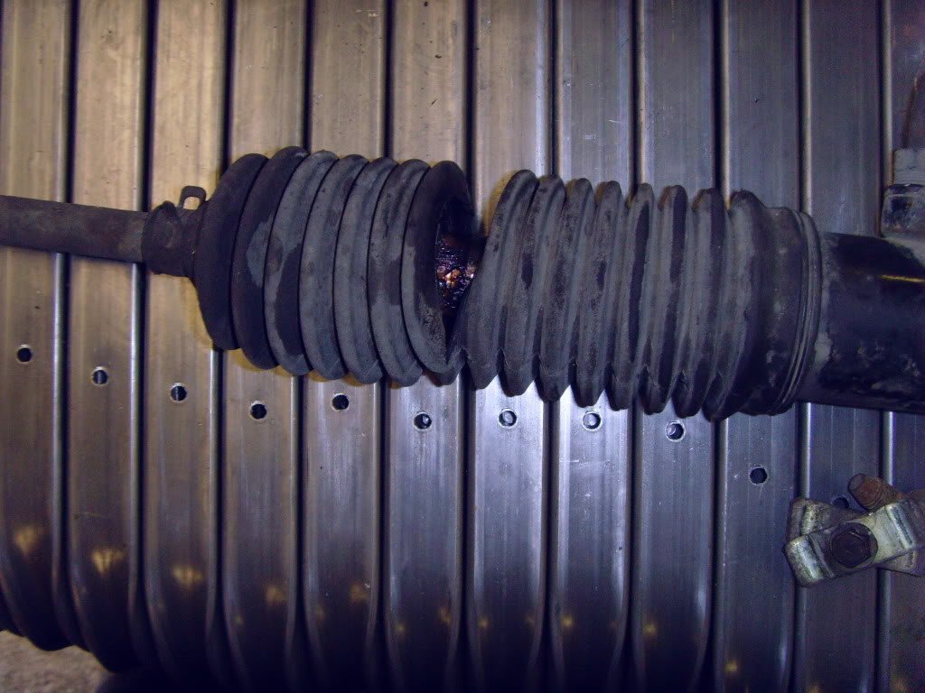 Name:  SNV31721.jpg
Views: 0
Size:  123.6 KB