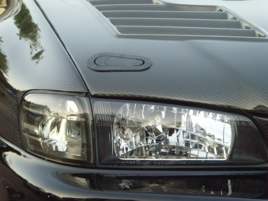 Name:  SNV31790.jpg
Views: 0
Size:  105.9 KB