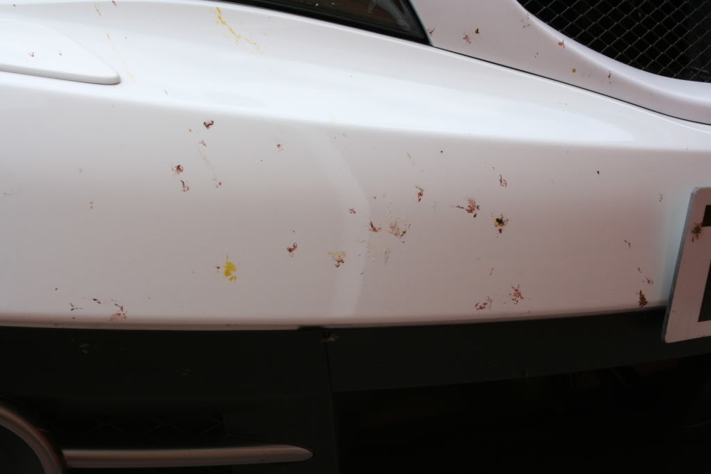 Name:  IMG_3857.jpg
Views: 0
Size:  46.3 KB