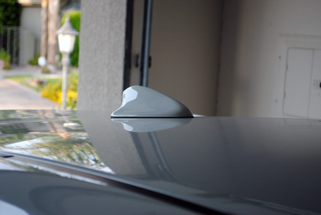 Name:  DSC_0045.jpg
Views: 0
Size:  53.0 KB