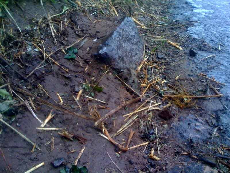 Name:  rock.jpg
Views: 0
Size:  154.7 KB