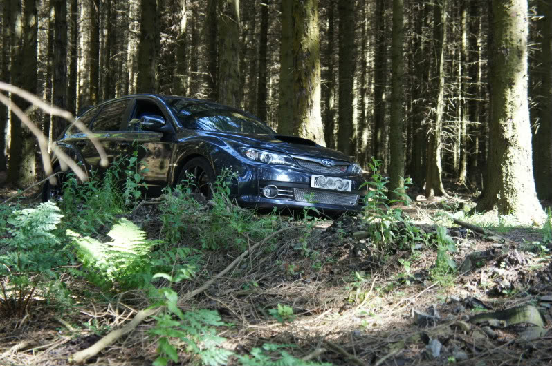 Name:  DSC00377-1.jpg
Views: 0
Size:  160.5 KB