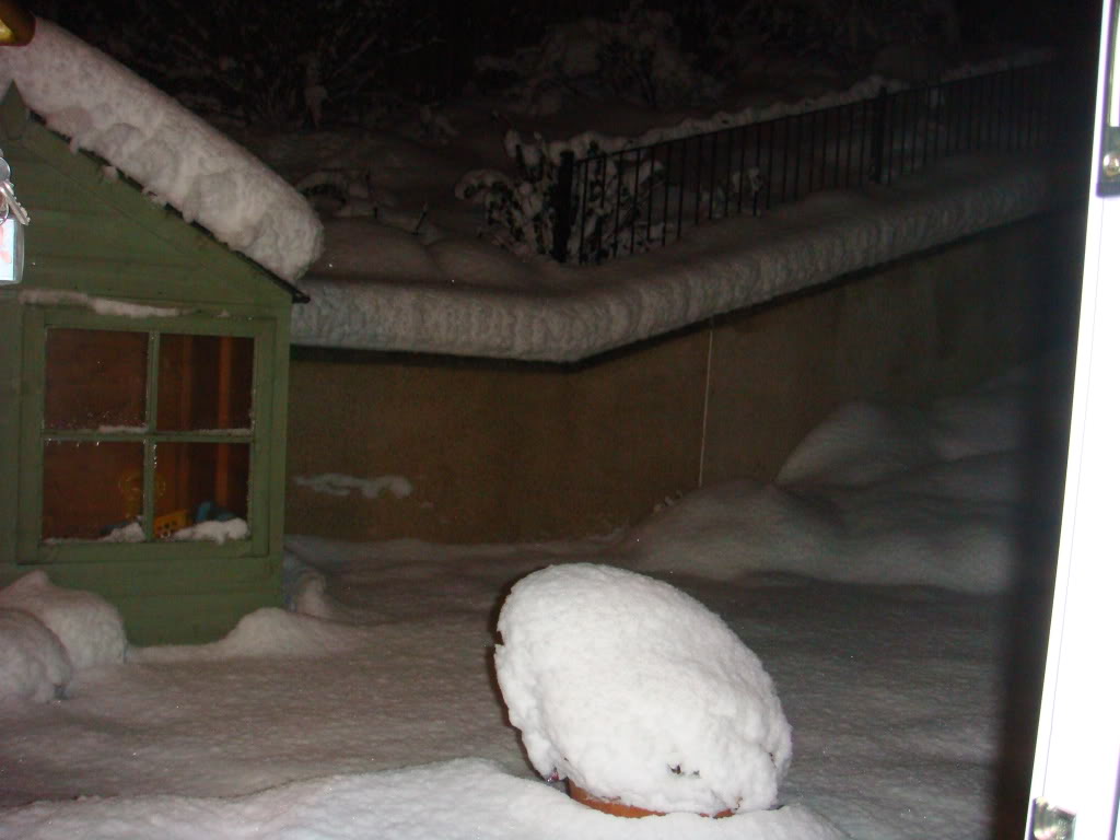 Name:  DSC01406.jpg
Views: 0
Size:  87.7 KB