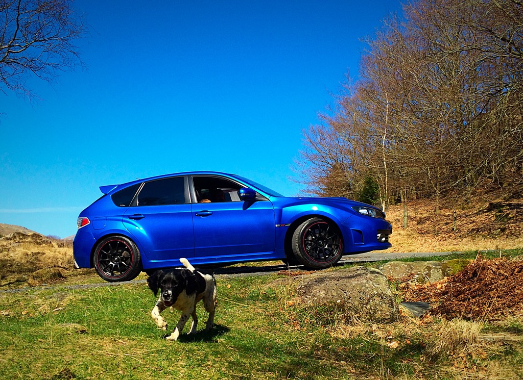 Name:  709D6491-4F3D-4E2D-8DDC-87E1BC69F498_1.jpg
Views: 0
Size:  364.0 KB