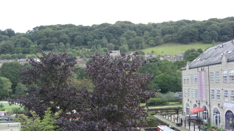 Name:  CIMG0396.jpg
Views: 0
Size:  133.8 KB