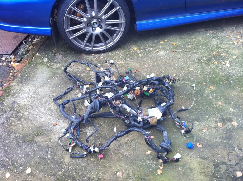 Name:  photo-4.jpg
Views: 0
Size:  233.1 KB