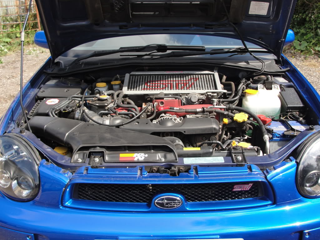 Name: scoobysale028.jpg
Views: 0
Size: 212.0 KB