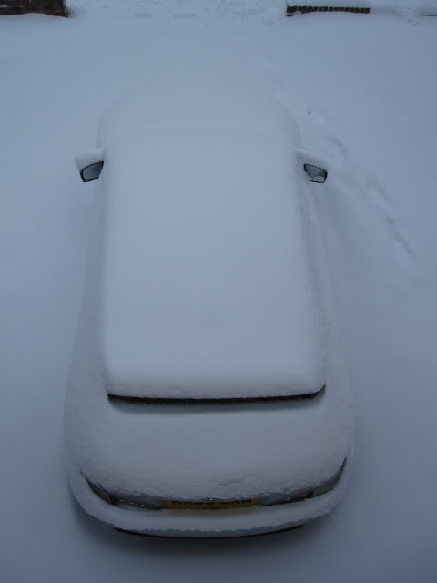 Name:  SnowScooby007.jpg
Views: 0
Size:  13.9 KB