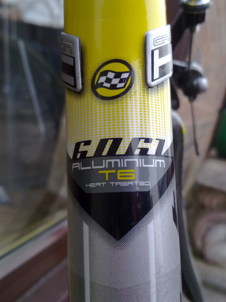 Name:  2011phonepics057.jpg
Views: 0
Size:  80.7 KB