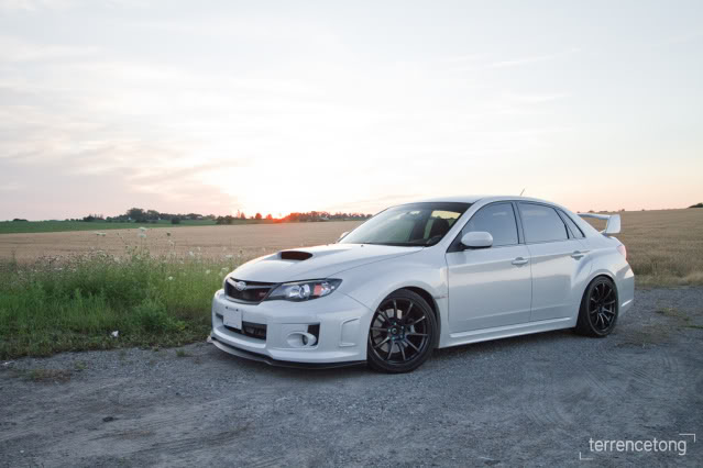 Name:  USA_2011_LIP_STI_WHITE.jpg
Views: 0
Size:  43.1 KB