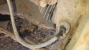 Click image for larger version

Name:	wokpNo5.jpg
Views:	0
Size:	3.23 MB
ID:	73169