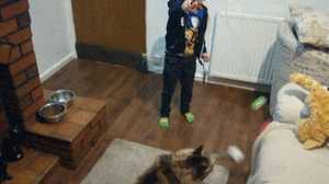 Click image for larger version

Name:	j1FGm3b.gif
Views:	0
Size:	9.94 MB
ID:	73597