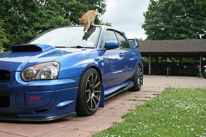 Click image for larger version

Name:	p2fvCb6.jpg
Views:	0
Size:	758.0 KB
ID:	74567