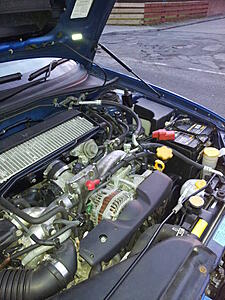 Click image for larger version

Name:	DtAzH2g.jpg
Views:	0
Size:	609.1 KB
ID:	74667