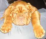 Click image for larger version

Name:	kia.jpg
Views:	0
Size:	74.0 KB
ID:	806