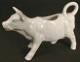 Cow Creamer's Avatar