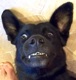 maharogus's Avatar
