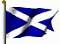 G.Mac's Avatar